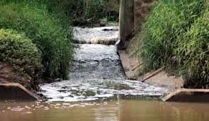 images_079